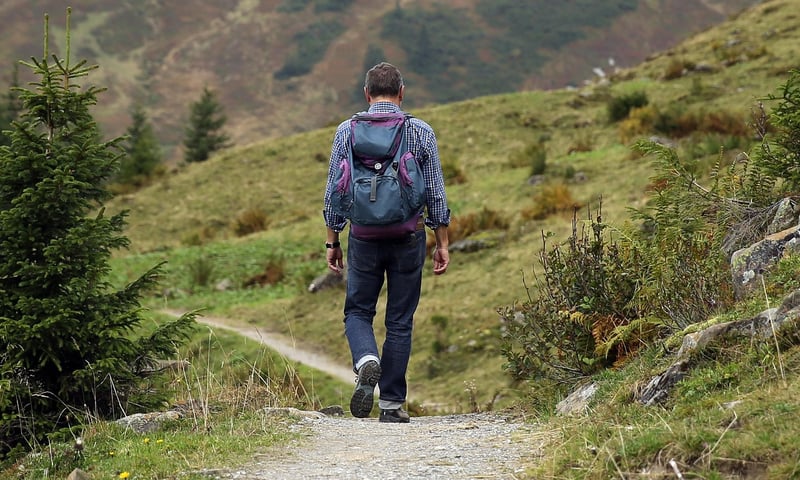 Wanderer Backpack Hike